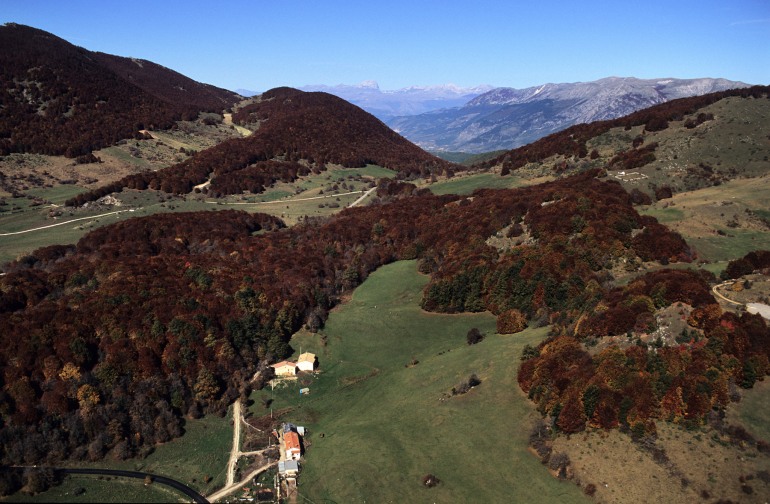 Pescocostanzo, spunta un progetto di innevamento artificiale per il Bosco di Sant’Antonio