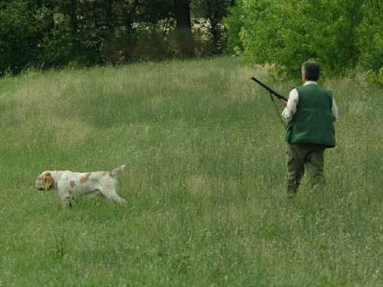 La forestale denuncia cacciatore a Rionero Sannitico