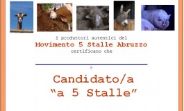 Politico "5 stalle" autentico? Allora, firma l'adesione!