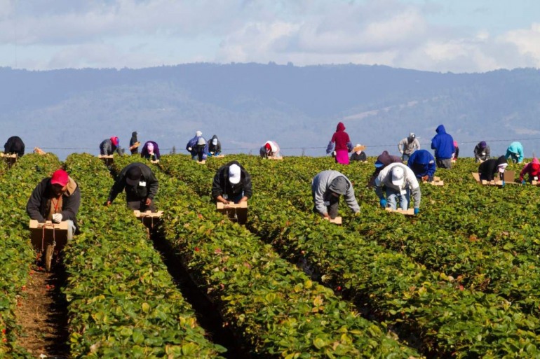 Caporalato e Agromafie, al “Serpieri” si coniuga l’agricoltura con la legalità