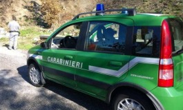 Castel di Sangro, lo studio di un ufficiale dei carabinieri forestali finisce su Nature Communications