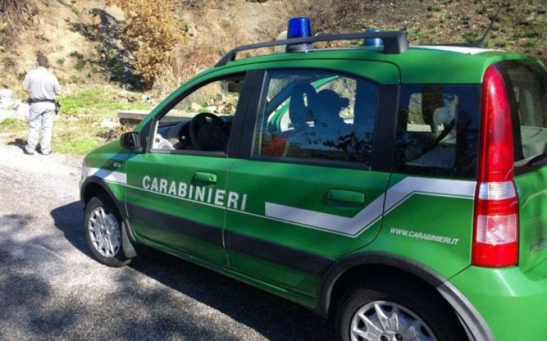 Carabinieri forestali, controlli sull’uso di shoppers irregolari