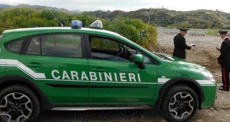 Sversava liquami nel canale, Carabinieri Forestali acciuffano allevatore