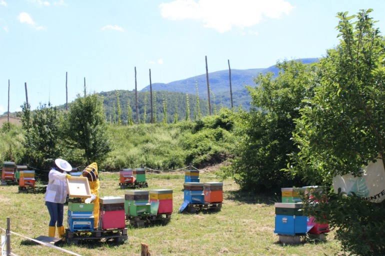 Arnie Narranti a Castel del Giudice, si celebra la biodiversità culturale