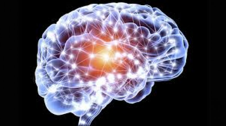 Neuromed, inizia la settimana della ricerca per conoscere il cervello