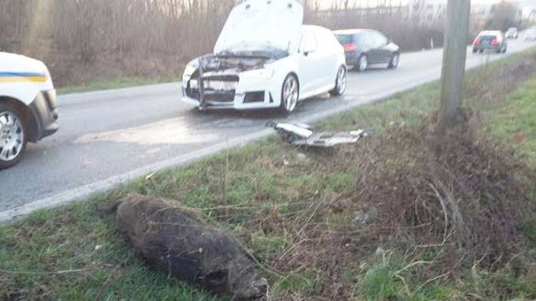 Castel di Sangro, incidente sulla SS 17: automobile distrutta da un cinghiale