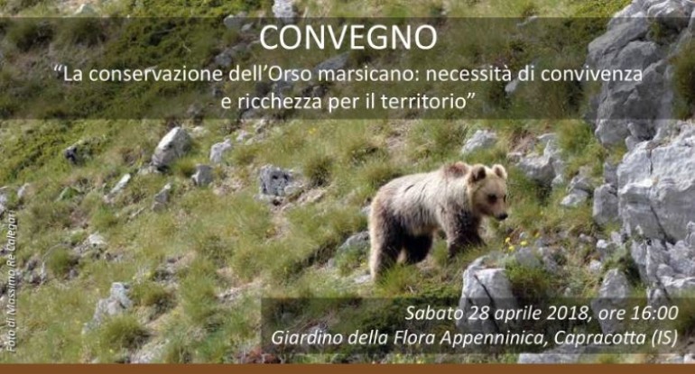 Capracotta, focus sull’orso bruno marsicano al giardino della flora appenninica