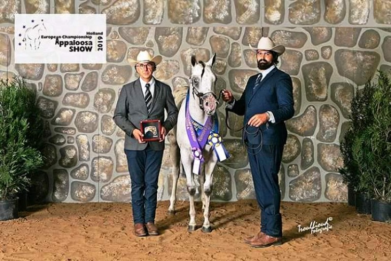 ‘Championship Appaloosa Horse’, Daniele Cerimele alza il vessillo dell’Alto Molise in Olanda