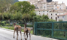 Eventi estate a Civitella Alfedena, esce il calendario delle manifestazioni estive nel borgo