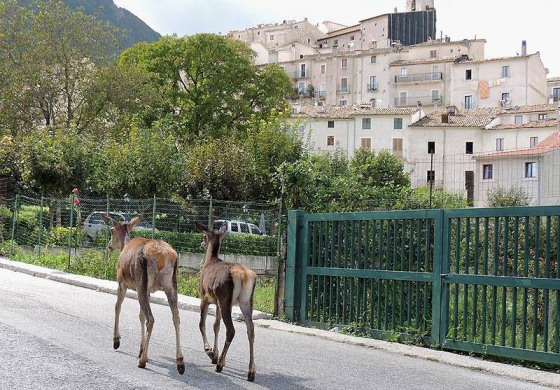 Civitella Alfedena è nella top 10 dei borghi più belli da visitare in camper nella primavera e nell’estate 2023