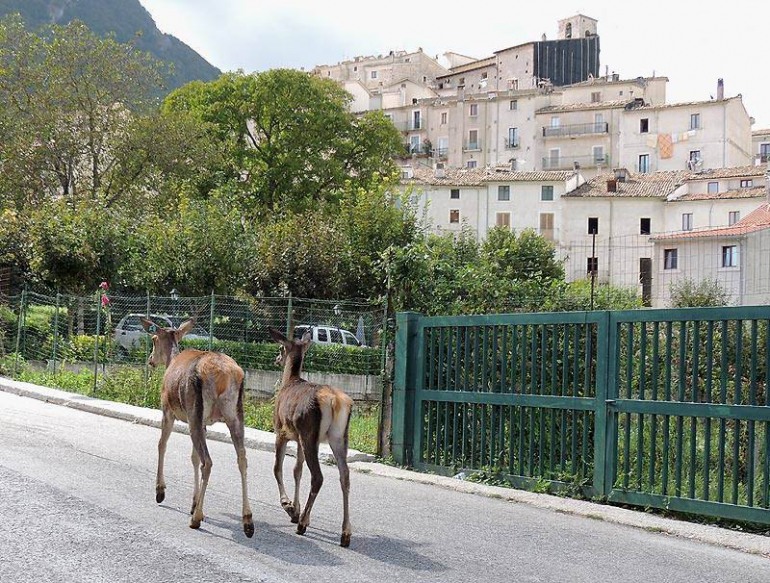 Civitella Alfedena è nella top 10 dei borghi più belli da visitare in camper nella primavera e nell’estate 2023