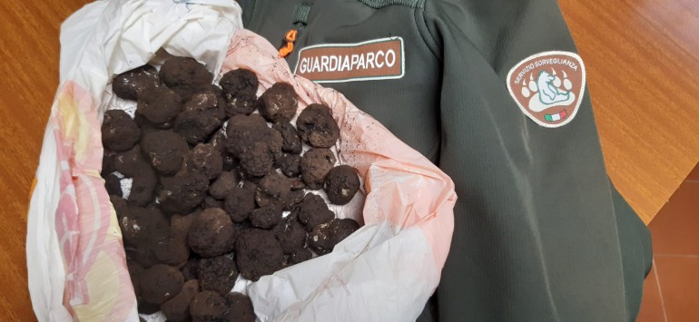 Tartufo raccolto, sequestrati dai Guardiaparco 1 kg di tartufi uncinato