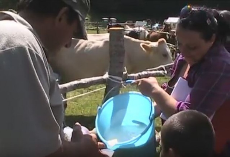 Campitello di Roccamandolfi si prepara alla festa del pastore: domenica 23 luglio