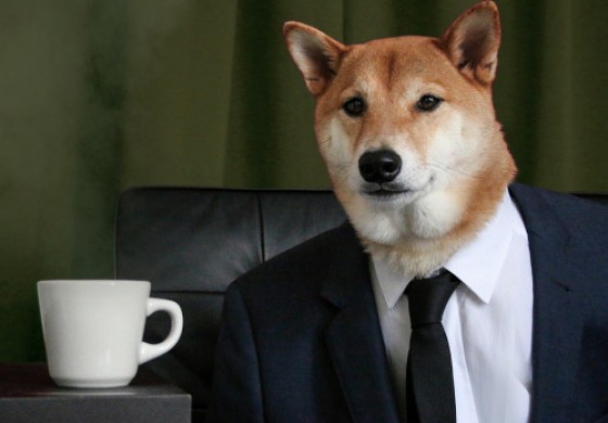 "Fido...uno di noi", Roccamandolfi sposa la campagna regionale