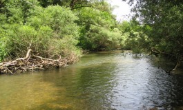 Fiume Sangro, Wwf Abruzzo difende la piana di Opi: "Assurdo tagliare i salici"