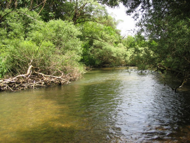 Fiume Sangro, Wwf Abruzzo difende la piana di Opi: “Assurdo tagliare i salici”