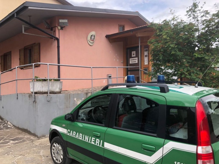 Carabinieri Forestali Castel di Sangro, scarsa tracciabilità: sanzione di 5000 euro ad un apicoltore