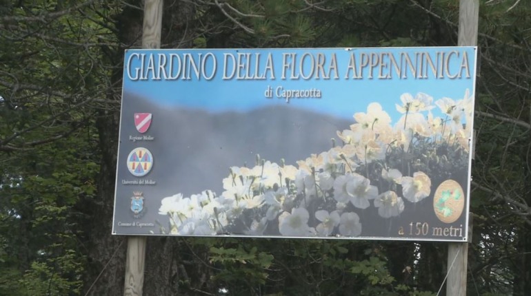 A Capracotta s’inaugura il “percorso dei sensi” al giardino della flora appenninica