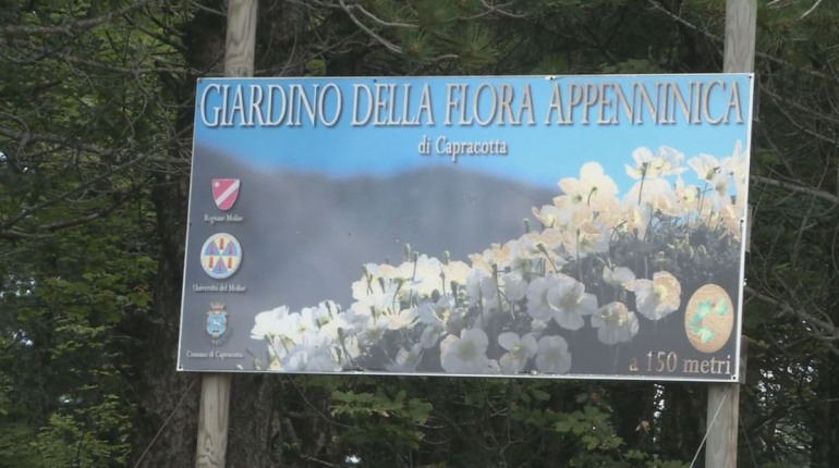 “Dalla fotografia al modello 3D”, workshop al giardino della flora appenninica