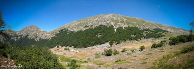 Camminiamo la biodiversità, confermati i cambiamenti climatici sugli ecosistemi di alta montagna