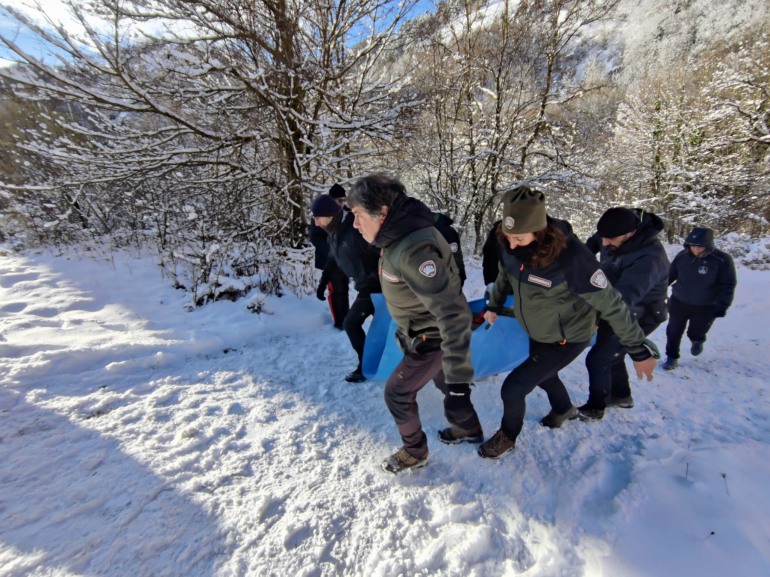 Juan Carrito catturato a Roccaraso e trasferito nel Parco Nazionale d’Abruzzo Lazio e Molise