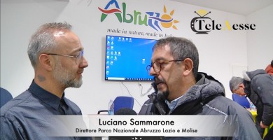 Morte di Juan Carrito, intervista al Direttore del Parco Nazionale Luciano Sammarone