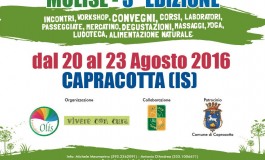 3^ edizione del Festival delle erbe a Capracotta