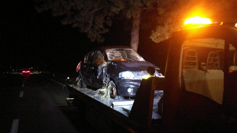 Distrugge l’automobile per evitare un cervo e finisce in ospedale, incidente sul Piano delle Cinquemiglia