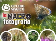 Macrofotografia naturalistica, a Castel di Sangro il circolo Occhio Magico torna con un nuovo appuntamento
