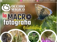 Macrofotografia naturalistica, a Castel di Sangro il circolo Occhio Magico torna con un nuovo appuntamento