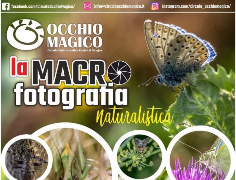 Macrofotografia naturalistica, a Castel di Sangro il circolo Occhio Magico torna con un nuovo appuntamento
