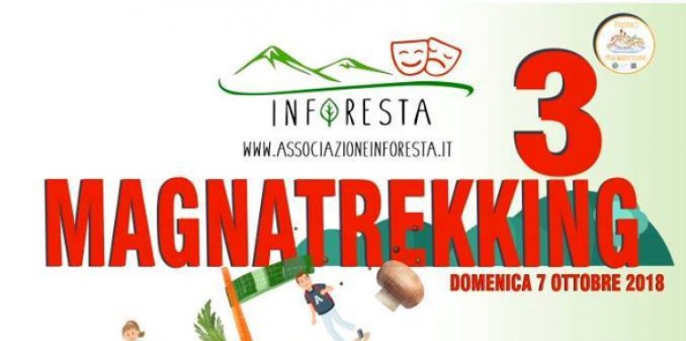 Escursione con ‘Inforesta’, si parte per il magnatrekking: domenica 7 ottobre