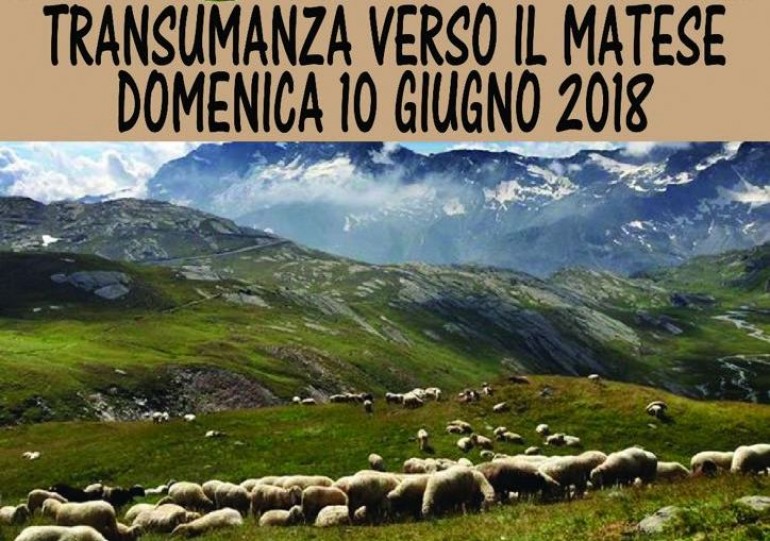 Transumanza turistica verso il Matese, domenica  10 giugno