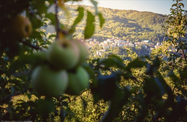 Prima festa della mela a Castel del Giudice: domenica 14 ottobre