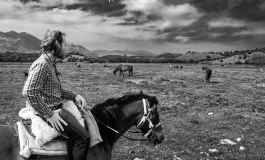 Montenero Val Cocchiara: nel Pantano Zittola il cavallo Pentro vive allo stato brado, nessun degrado