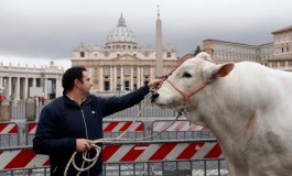 Allevatori abruzzesi e molisani a San Pietro per festeggiare Sant'Antonio