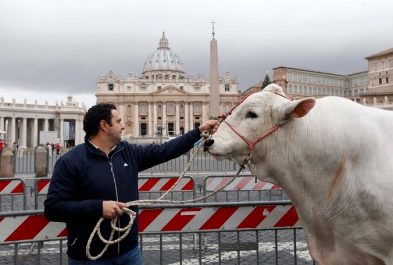 Allevatori abruzzesi e molisani a San Pietro per festeggiare Sant’Antonio