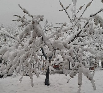 Neve in Abruzzo ad Aprile:  il clima impazzito e le conseguenze inquietanti sull'Ambiente