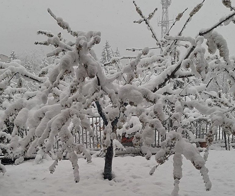Neve in Abruzzo ad Aprile:  il clima impazzito e le conseguenze inquietanti sull’Ambiente