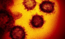 Coronavirus, Neuromed coordina studio nazionale sul rapporto tra la gravità dell'infezione e le patologie preesistenti