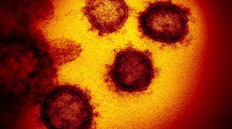 Coronavirus, primo caso in Molise