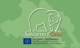 'Salviamo l'Orso' replica a Mariani: "dichiarazione di luoghi comuni che non rappresenta la realtà"