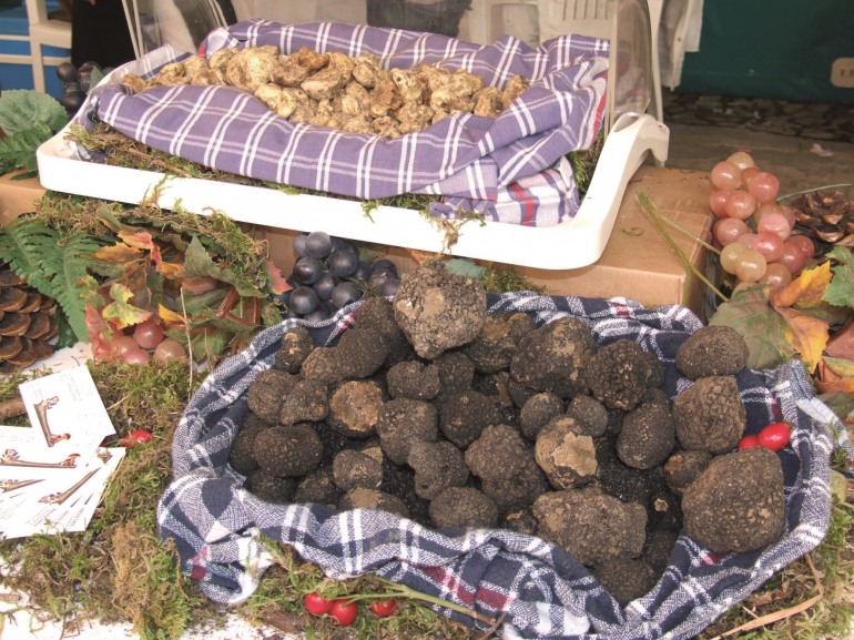 Di scena il tartufo molisano in cucina a Roma, Pescara e Frosolone