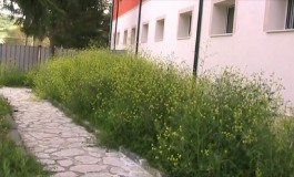 Ospedale: Incuria e immondizia, la denuncia