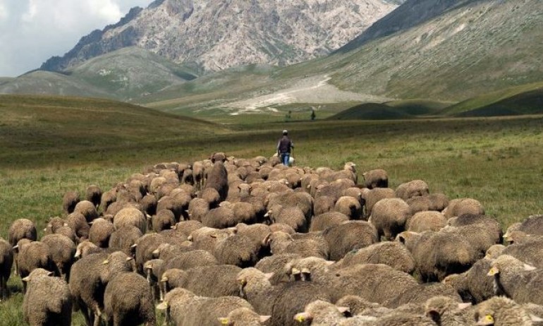 Pescocostanzo, a spasso con i pastori per rievocare la transumanza