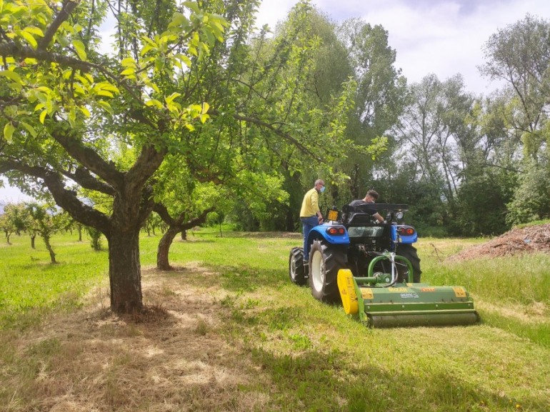 Patentino mezzi agricoli e forestali, gli studenti dell’Istituto Agrario “A. Serpieri” sul trattore
