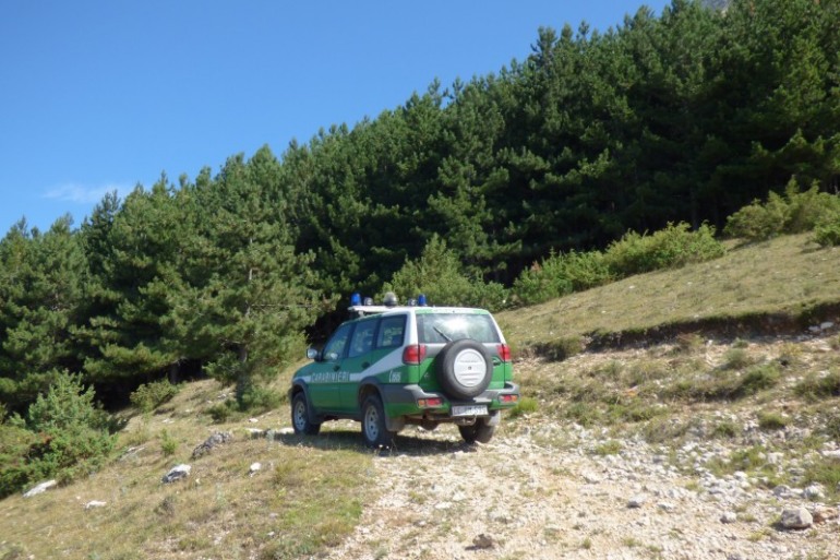 Carabinieri Biodiversità di Castel Di Sangro, lavori di rinaturalizzazione delle pinete