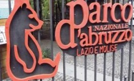 E' polemica sulla strada "Villavallelonga - Prati d'Angro". il Pnalm replica a "Salviamo l'Orso"