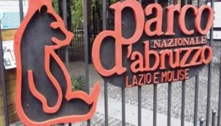 L’ente parco assicura le associazioni ambientaliste: “Nessuna escursione con i Quad all’interno del Pnalm”