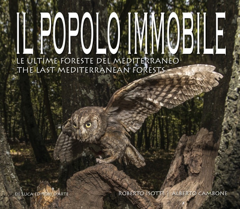 Pescasseroli, Wwf Abruzzo presenta il libro di Cambone – Isotti “Il popolo immobile. Le ultime foreste del Mediterraneo”